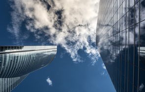 巨蟒负伤躲在花园 救援队抓捕后放归