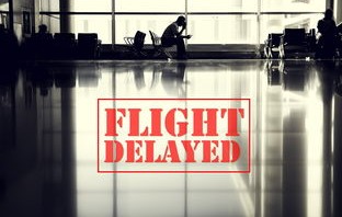 准备读博的加沙双胞胎在空袭中丧生