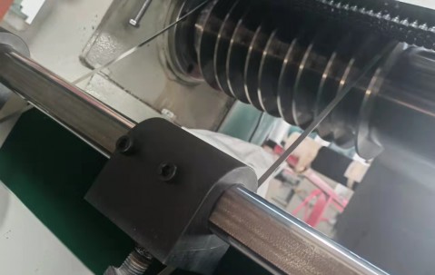 海关查获1.2公斤生腌响尾蛇