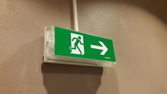 张子枫镂空刺绣外套